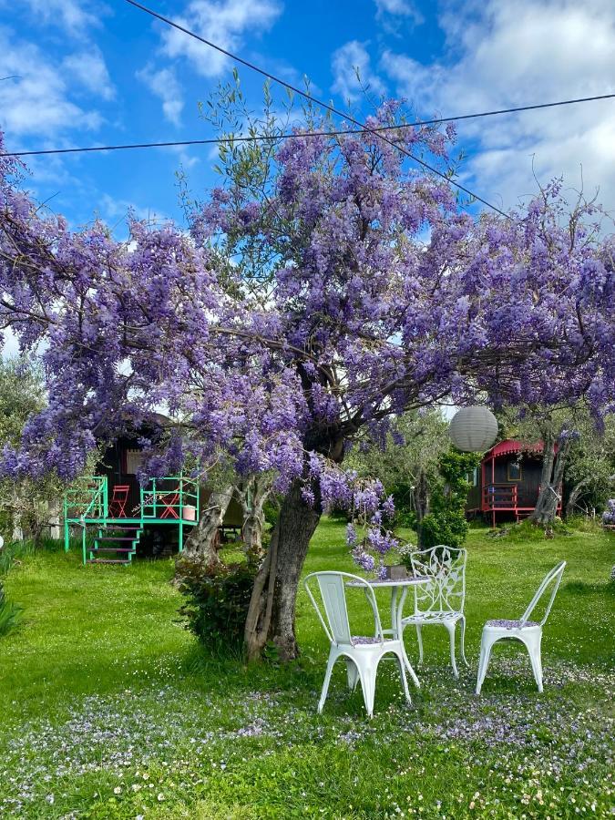 Azienda Agricola Della Mezzaluna Stiava Luaran gambar