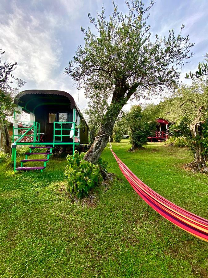 Azienda Agricola Della Mezzaluna Stiava Luaran gambar