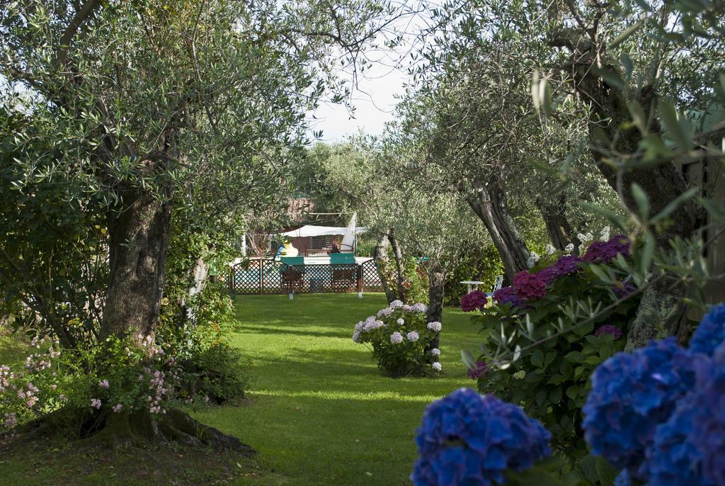 Azienda Agricola Della Mezzaluna Stiava Luaran gambar