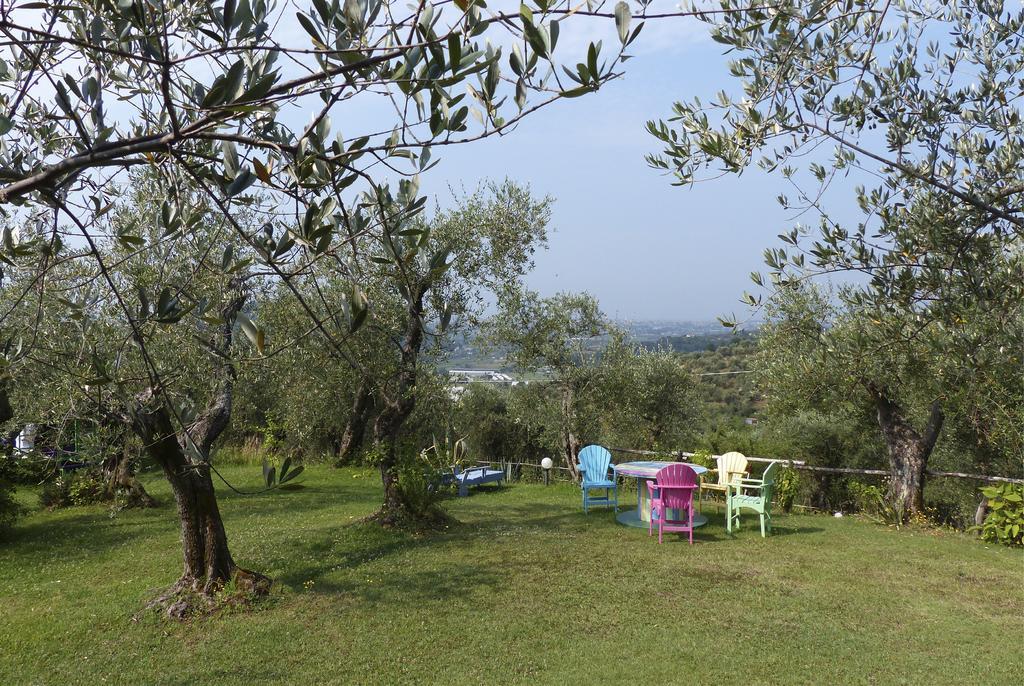 Azienda Agricola Della Mezzaluna Stiava Luaran gambar