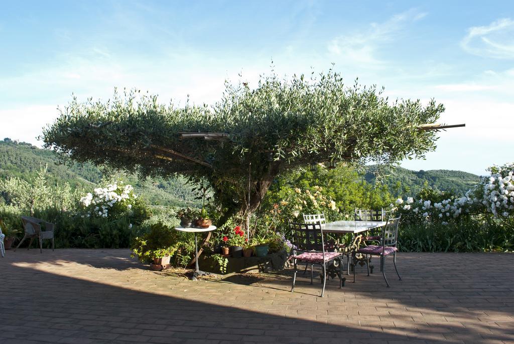 Azienda Agricola Della Mezzaluna Stiava Luaran gambar