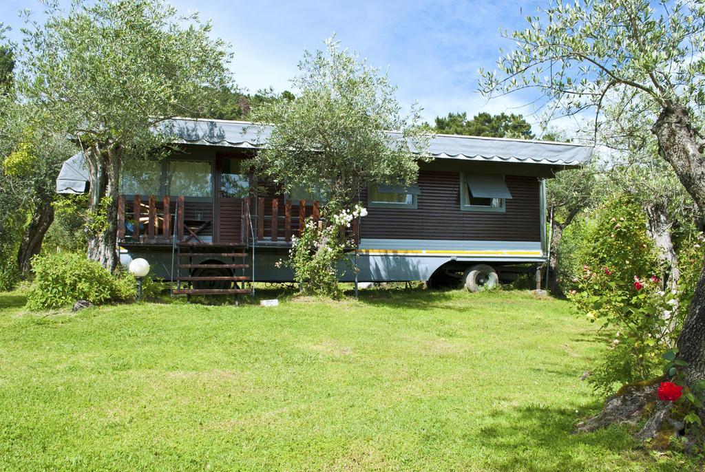 Azienda Agricola Della Mezzaluna Stiava Luaran gambar