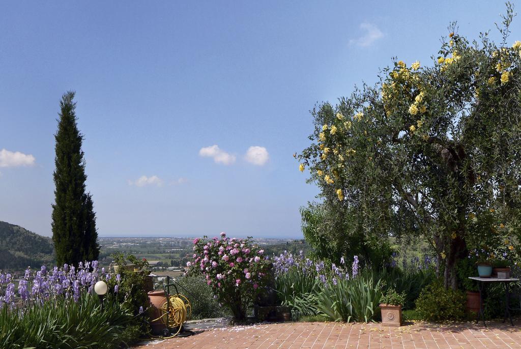Azienda Agricola Della Mezzaluna Stiava Luaran gambar