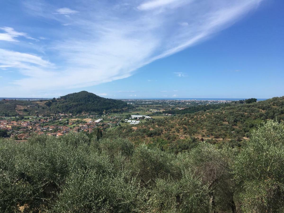 Azienda Agricola Della Mezzaluna Stiava Luaran gambar